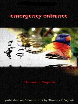 cover image of Emergency Entrance